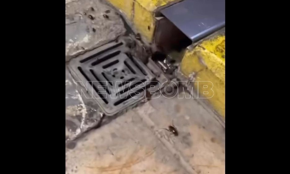Γέμισε κατσαρίδες στο αεροδρόμιο Ηρακλείου – «Γεννάνε, είναι παντού, στους τοίχους, στα πατώματα!»