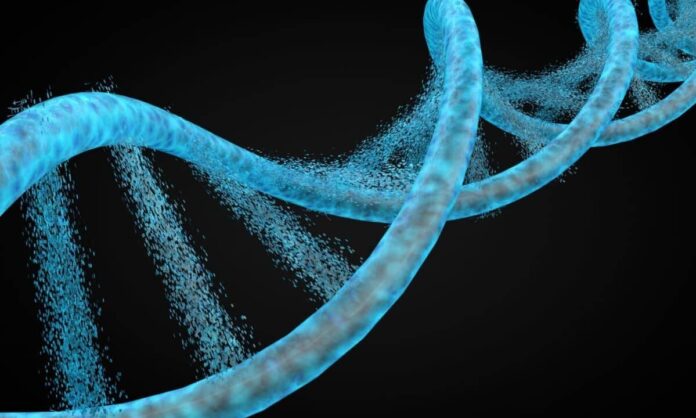 1655558-7d072249-they-found-6000-year-old-human-remains-but-nobody-on-earth-shares-their-dna-1200x727.jpg