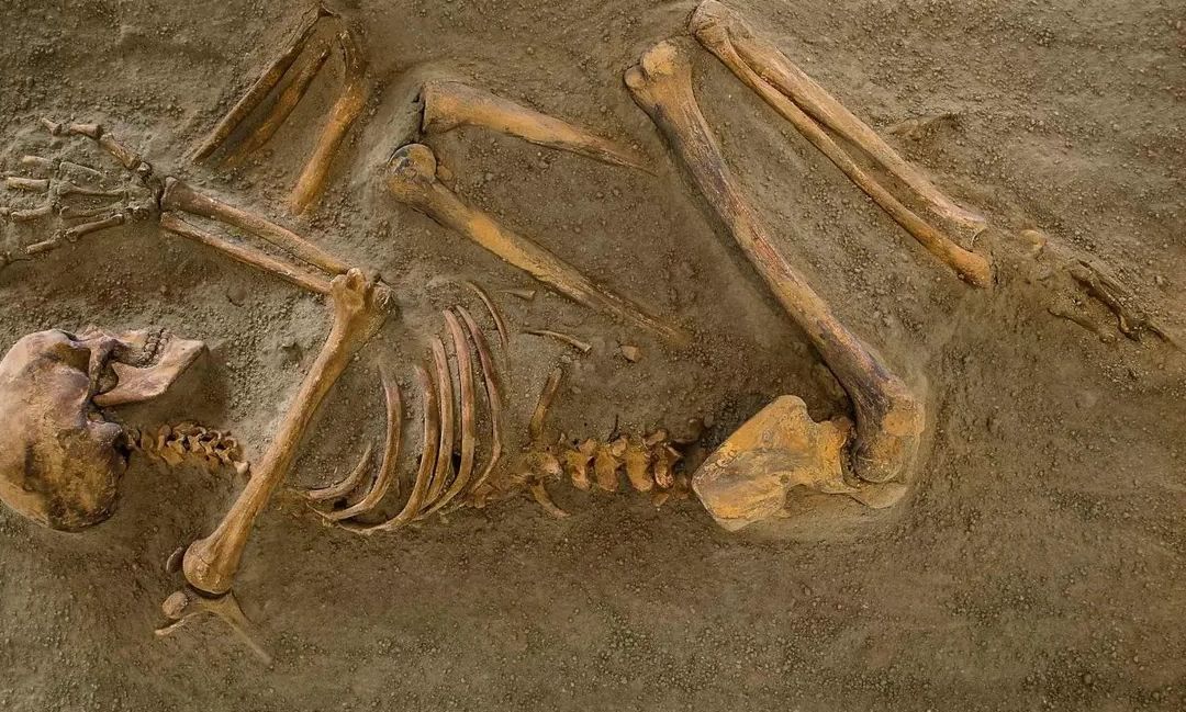 DNA 9.000 ετών μπορεί να ανατρέψει την ανθρώπινη ιστορία