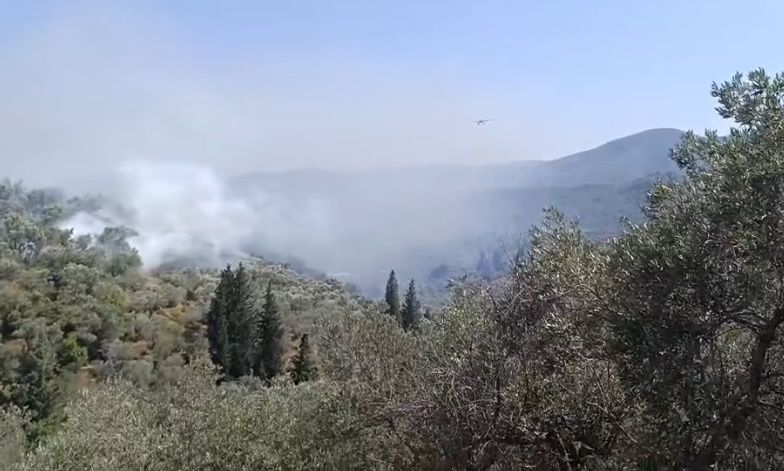 Μυτιλήνη: Υπό έλεγχο τέθηκε η φωτιά στον Παλαιόκηπο – «Πρόκειται πιθανότατα για εμπρησμό»