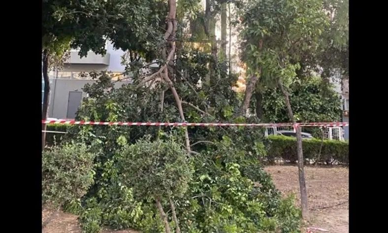 Ηράκλειο: Έπεσε μεγάλο κλαδί δέντρου σε πάρκο – Από θαύμα δεν υπήρξε τραυματισμός