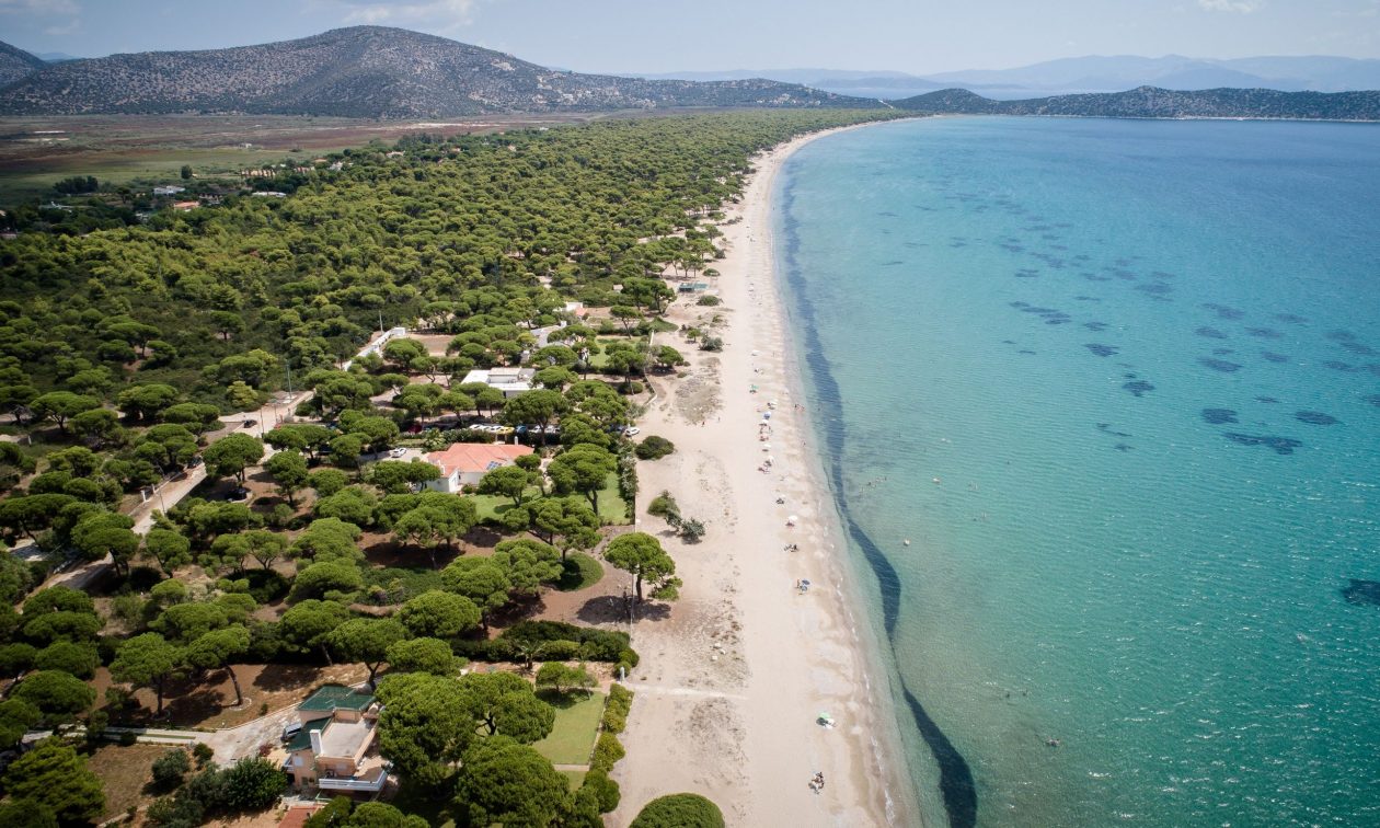 Εισαγγελική παρέμβαση για τα αυθαίρετα στο Πάρκο Σχινιά