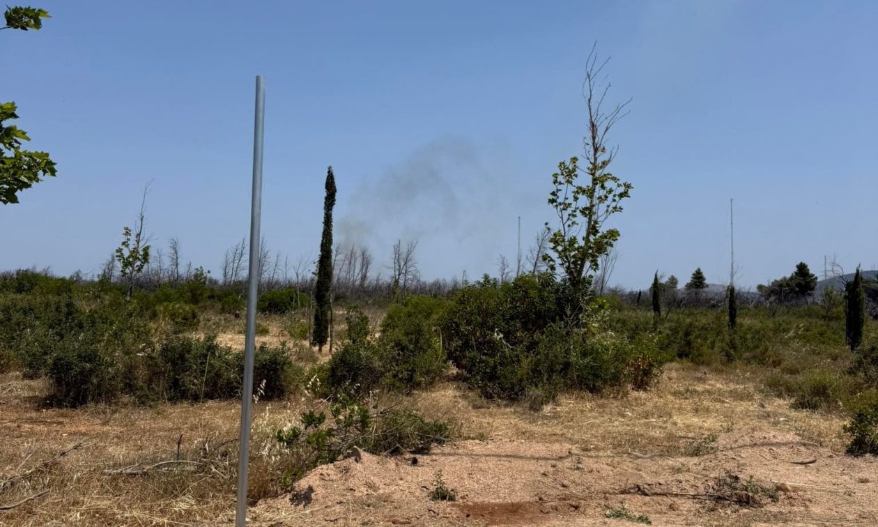 Φωτιά στο Δήμο Αχαρνών κοντά στο Κρυονέρι – Σηκώθηκαν εναέρια μέσα
