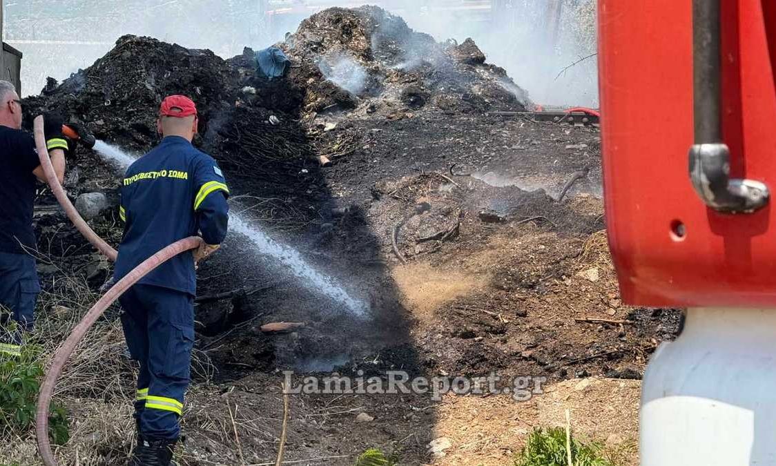 Φωτιά σε εγκαταλελειμμένες αποθήκες στη Λαμία – Ο καπνός έφτασε μέχρι το κέντρο της πόλης – Βίντεο