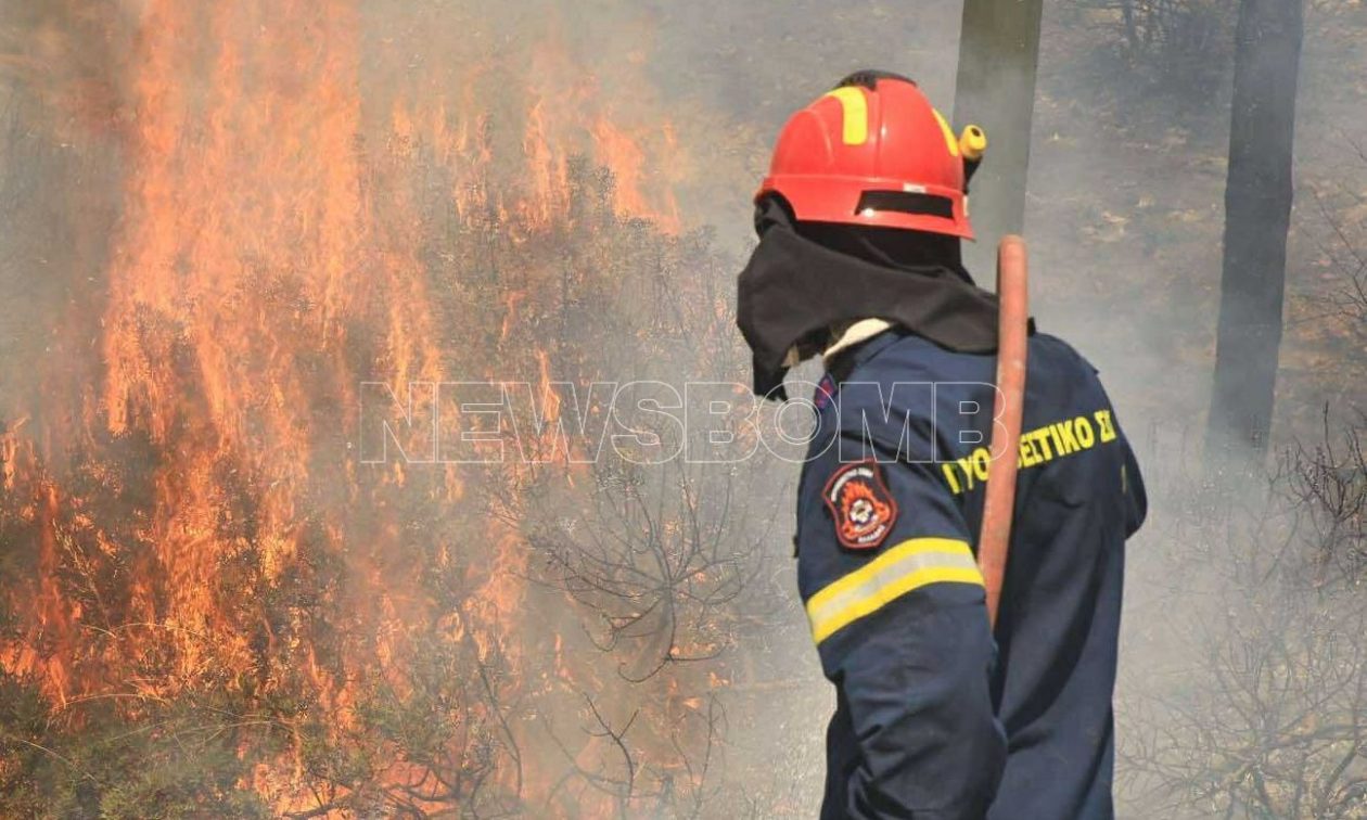 Φωτιά στον Βόλο: Δύο εστίες ανάμεσα σε Στεφανοβίκειο και Ριζόμυλο