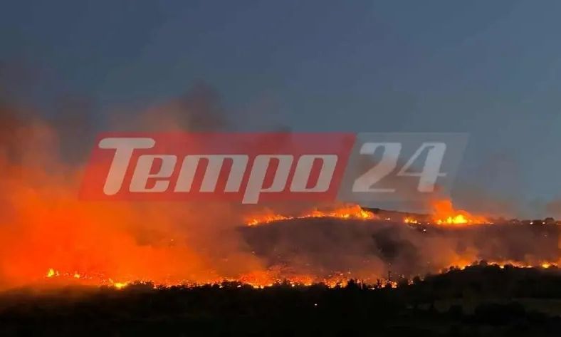 Μεγάλη πυρκαγιά απειλεί κατοικημένες περιοχές στη Ναύπακτο – Mήνυμα του 112