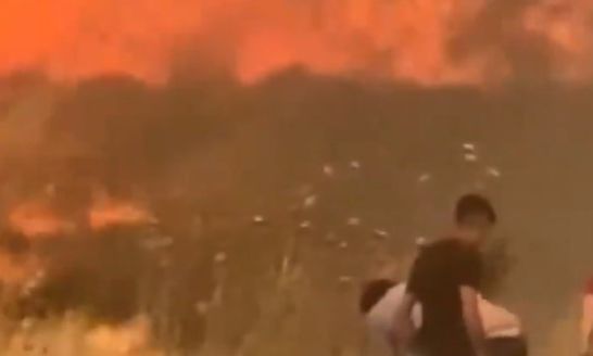 Συναγερμός στη Σμύρνη: Τεράστια πυρκαγιά καίει δάση και κατοικημένες περιοχές