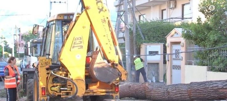 Έπεσε δέντρο σε αυτοκίνητο στην Κηφισιά – Προβλήματα στην ηλεκτροδότηση