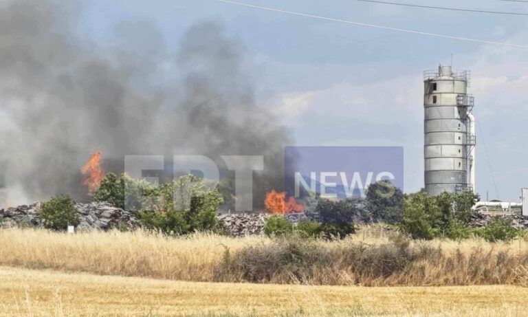 Σέρρες: Φωτιά σε εργοστάσιο ξυλείας στο Νέο Σούλι