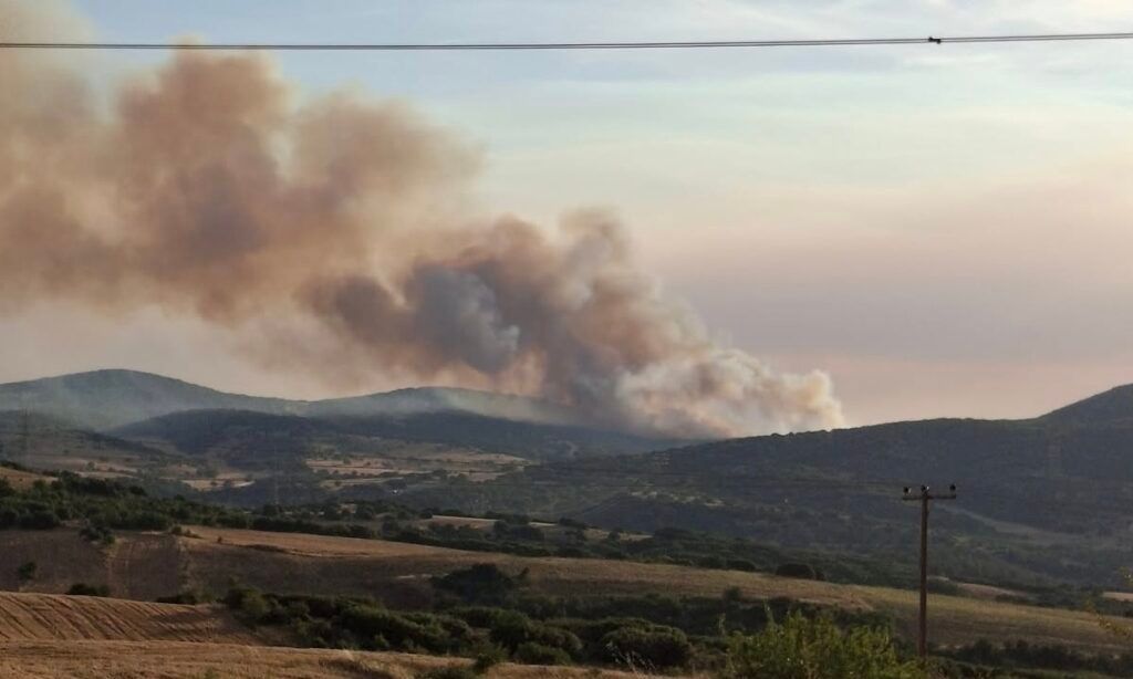 Φωτιά στο Ωραιόκαστρο: «Όλα δείχνουν πως έχει οριοθετηθεί», λέει ο δήμαρχος