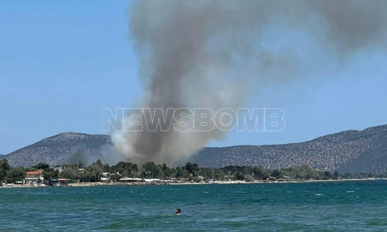 Μαραθώνας: Υπό έλεγχο η φωτιά στο Ριζάρι – Νωρίτερα είχε ηχήσει μήνυμα 112
