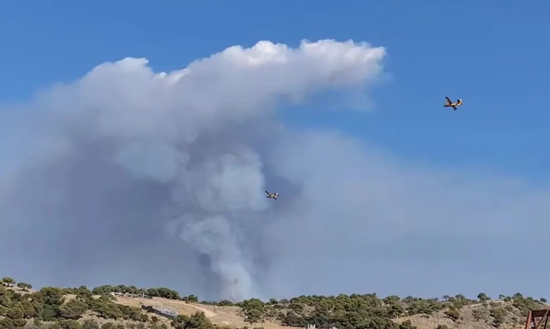 Φωτιά στη Χαλκιδική: «Καλύτερη η εικόνα, σύντομα θα περιοριστεί», λέει ο δήμαρχος Σιθωνίας