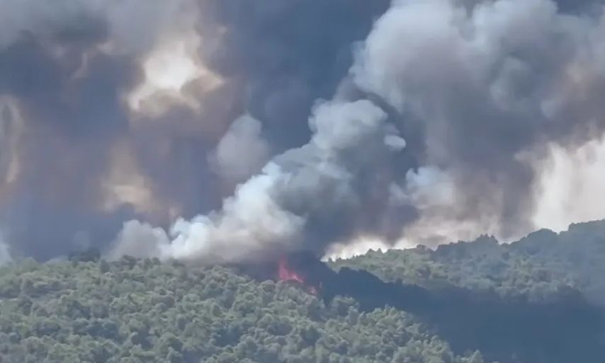 Φωτιά στην Χαλκιδική: Βελτιωμένη η εικόνα της πυρκαγιάς