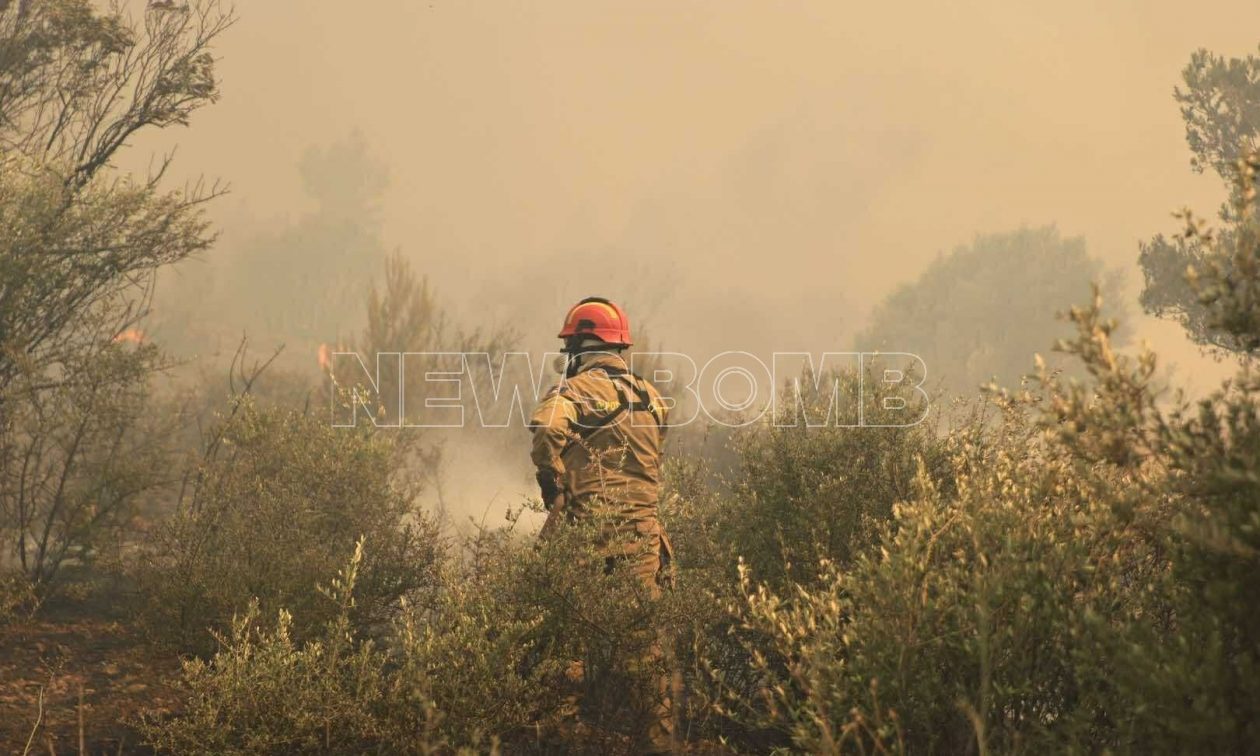 Φωτιά στην Ραφήνα: Επιστρέφει στο Μαρμάρι το Evia Star – Ισχυροί άνεμοι στην περιοχή