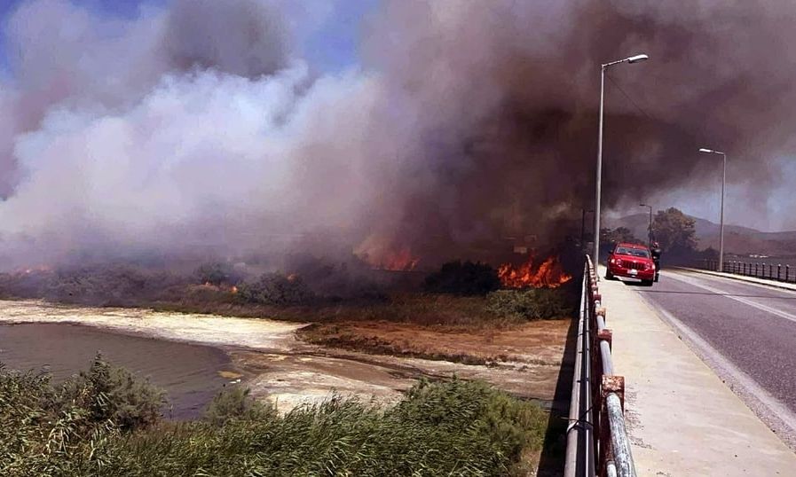 Φωτιά τώρα στη Νέα Κίο Αργολίδας – Καίει κοντά σε σπίτια