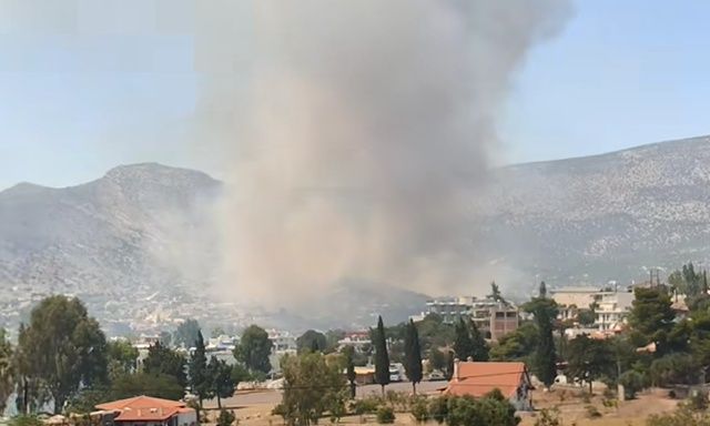 Φωτιά στην Αλυκή Βοιωτίας: Οι φλόγες έφτασαν έως τις αυλές σπιτιών – Καλύτερη εικόνα στο μέτωπο