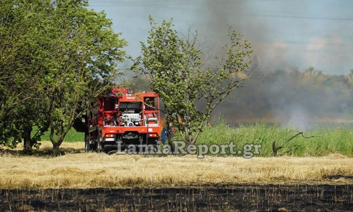 Φωτιά σε αγροτοδασική έκταση στη Νότια Λαμία – Επιχειρούν εναέρια μέσα