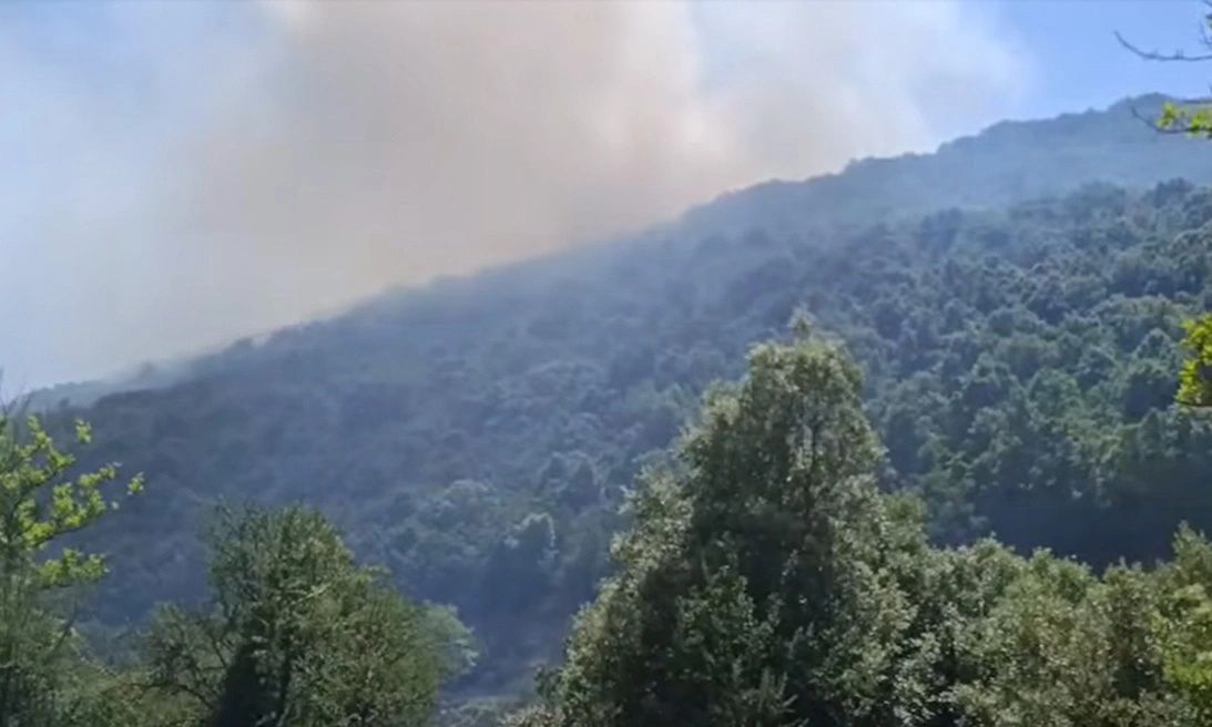 Φωτιά στον Ταξιάρχη Θέρμου στην Αιτωλοακαρνανία – Επιχειρούν εναέρια μέσα