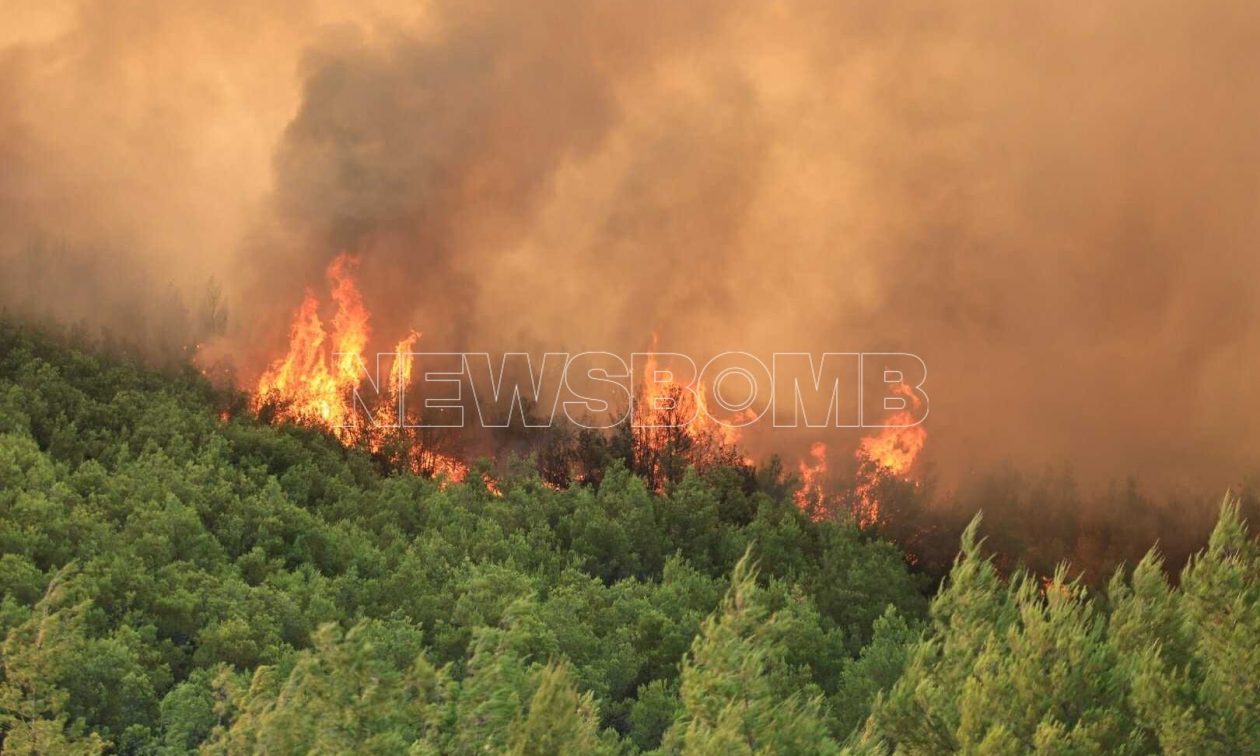 Μαίνεται η φωτιά στον Ωρωπό: Καίει παρθένο πευκοδάσος και πλησιάζει το Ασπροχώρι – Φωτογραφίες