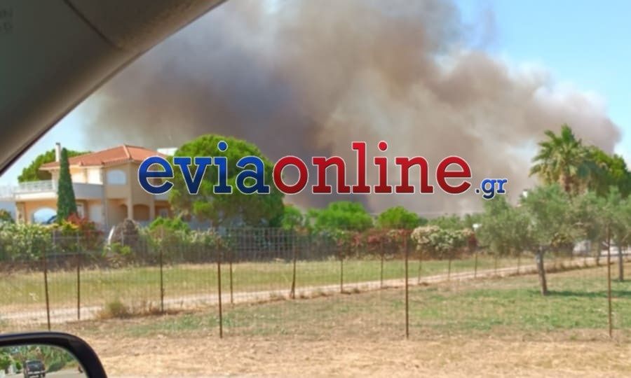 Φωτιά στην Εύβοια: Παίρνει διαστάσεις το πύρινο μέτωπο – Νέο μήνυμα από το 112 για εκκένωση