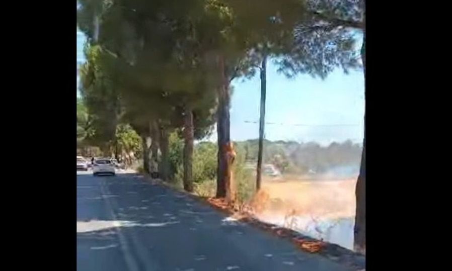 Μυτιλήνη: Φωτιά στην Καλλονή – Κάηκαν αυτοκίνητα, τέθηκε άμεσα υπό έλεγχο