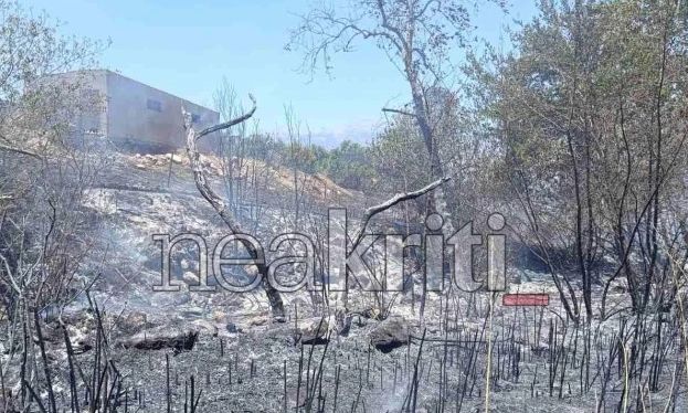 Φωτιά τώρα στο Ηράκλειο Κρήτης – Δείτε βίντεο