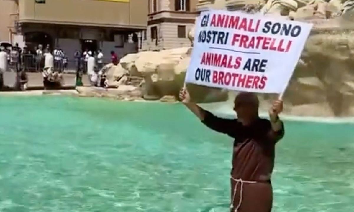 Ρώμη: Μοναχός μπήκε στην Φοντάνα ντι Τρέβι και έγινε viral – Για ποιο λόγο διαμαρτυρόταν (Βίντεο)