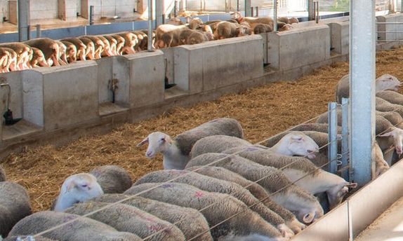 Τρίκαλα: Επιβεβαιωμένο κρούσμα ευλογιάς σε μονάδα στην Φαρκαδόνα