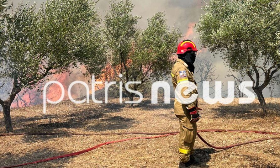 Φωτιά στον Πύργο Ηλείας: Ενισχύθηκαν οι πυροσβεστικές δυνάμεις στα Αστεραίικα