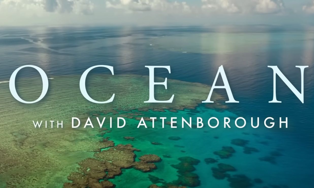 Θαλάσσια πάρκα: «Ocean», το ντοκιμαντέρ του Sir David Attenborough που επικαλέστηκε ο Μητσοτάκης