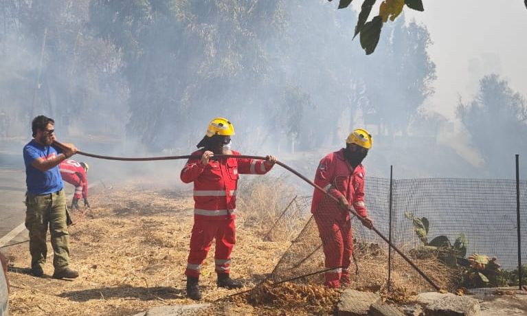 Μέσω gov.gr η αίτηση για έκδοση του δελτίου εθελοντή πολιτικής προστασίας