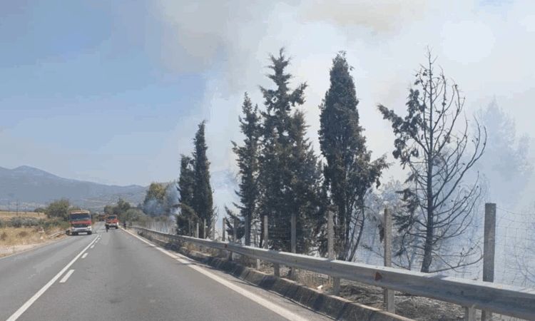 Λάρισα: Φωτιά κοντά στον κόμβο της Γυρτώνης – Κλειστή η Εθνική Οδός προς Λάρισα
