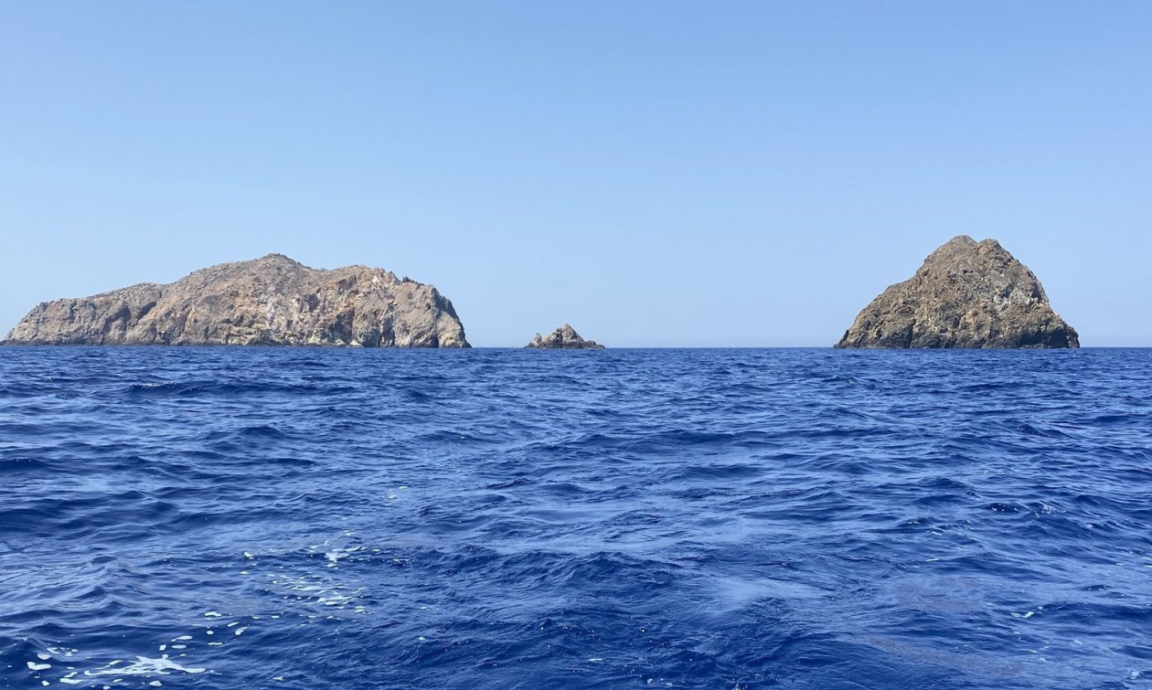 Το WWF «χαιρετίζει» τη δημιουργία των θαλάσσιων πάρκων