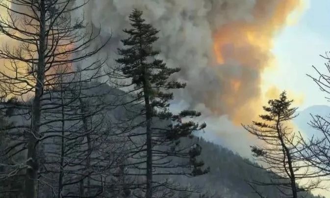 Φωτιά στον Φενεό Κορινθίας: Ενισχύθηκαν οι πυροσβεστικές δυνάμεις – Δεν απειλούνται οικισμοί