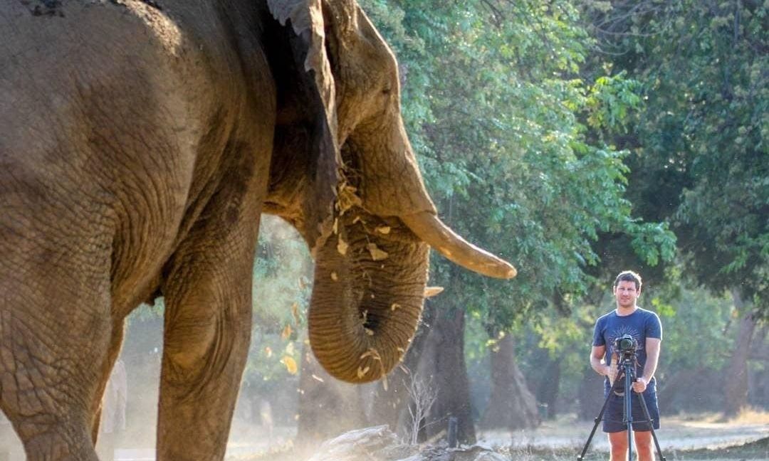Νότια Αφρική: Φριχτός θάνατος μεγιστάνα σε πάρκο σαφάρι – Τον ποδοπάτησε ελέφαντας 6 τόνων