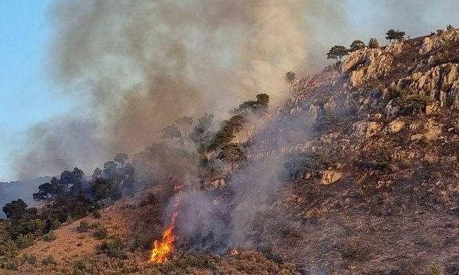 Φωτιά στη Μαγούλα – Καίει χαμηλή βλάστηση κοντά στην Αττική Οδό