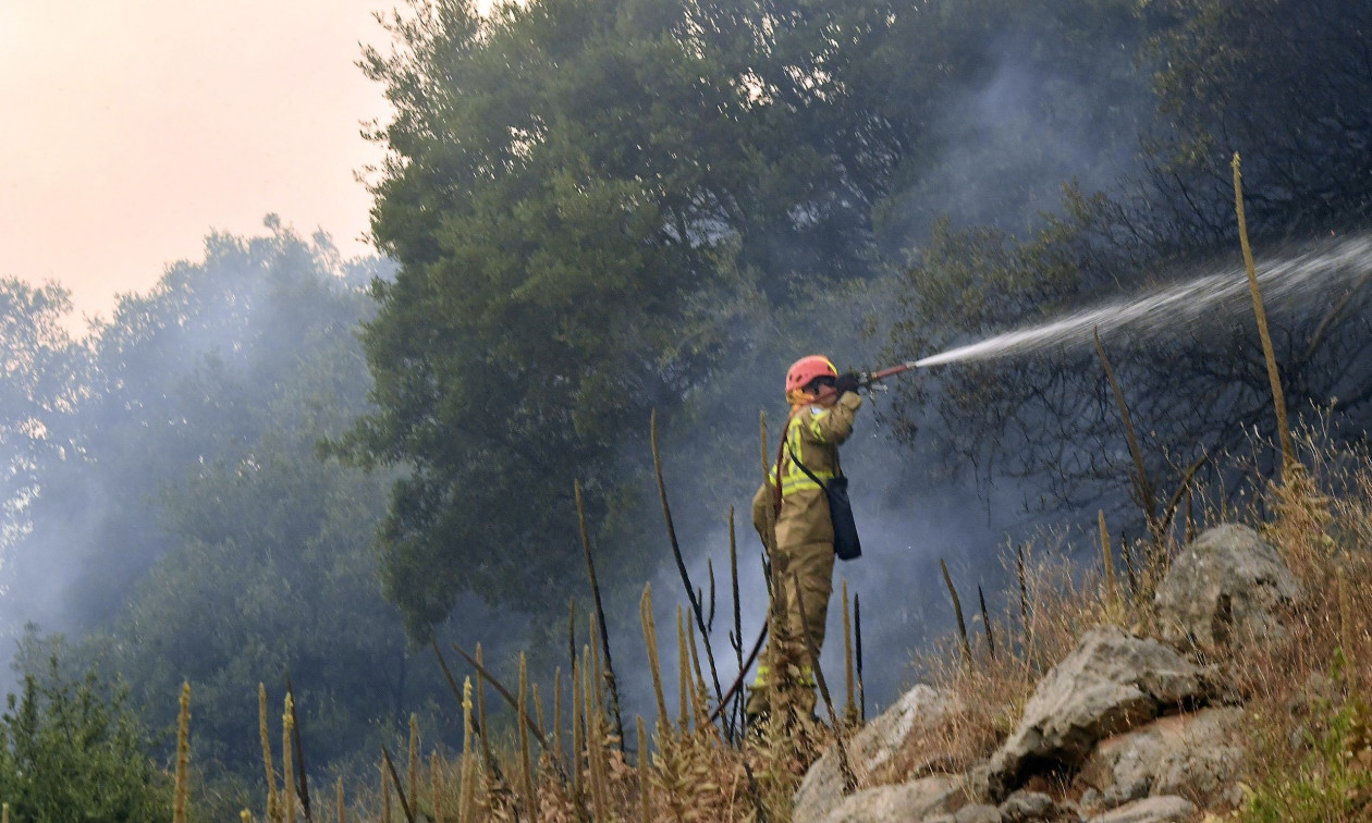 Φωτιά τώρα: Πυρκαγιά σε δασική έκταση στον Άγιο Στέφανο- Ήχησε το 112