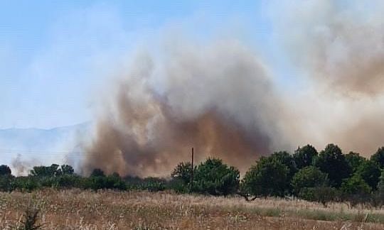 Δεύτερη φωτιά στην Αρκαδία – Καίει στην περιοχή Ρίζες