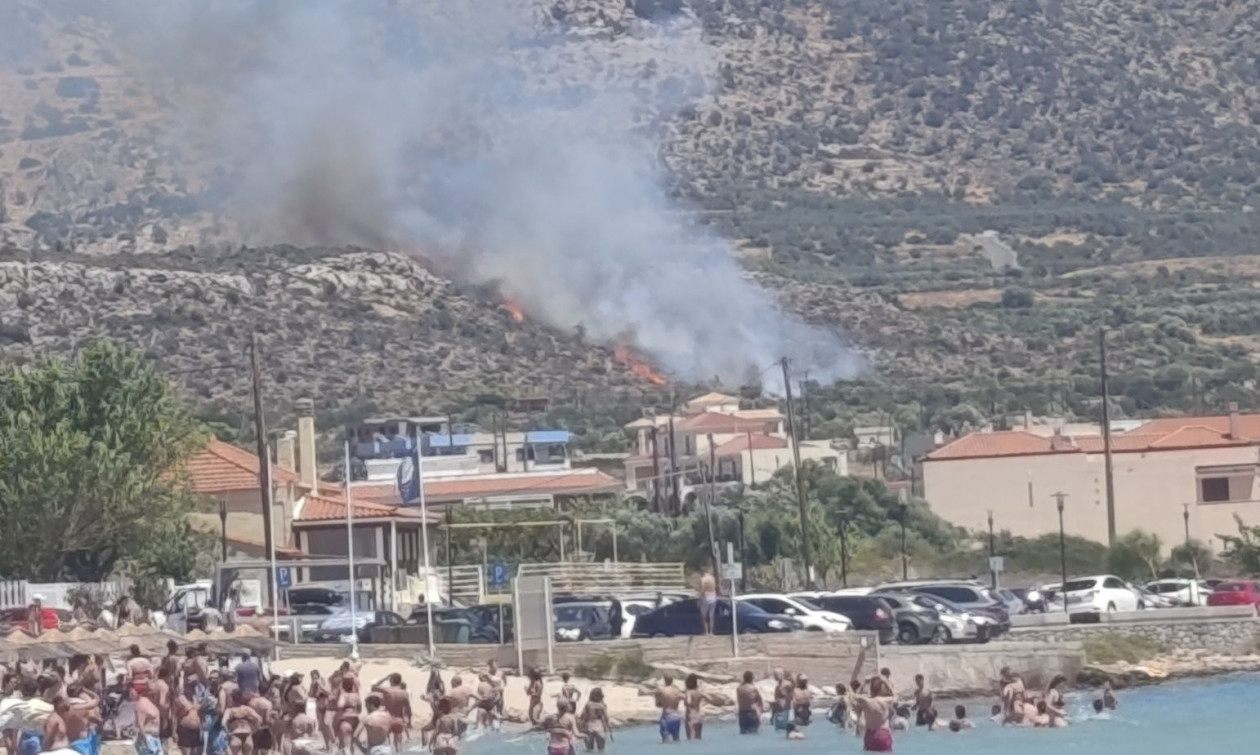Φωτιά τώρα στην Πλύτρα Λακωνίας
