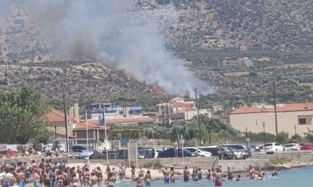 Σε ύφεση η φωτιά στην Πλύτρα Λακωνίας