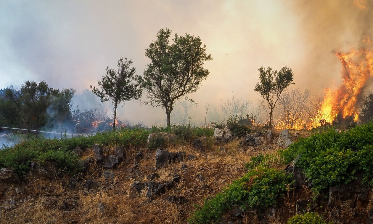 Θεσσαλονίκη: Σε εξέλιξη επιχείρηση κατάσβεσης πυρκαγιάς στην Άσσηρο