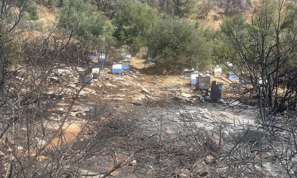 Φωτιά στην Πολυτεχνειούπολη: Πρόστιμο στον Πρύτανη – Από πού ξεκίνησε – Υπήρχε ολόκληρη χωματερή