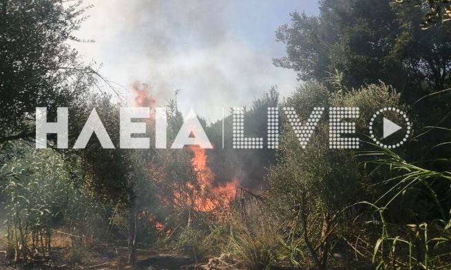 Μεγάλη φωτιά στην Μέλισσα Λεχαινών Ηλείας – Ήχησε το 112