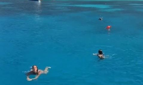 Ιθάκη: Περιπέτεια για δύο τουρίστριες – Αγριογούρουνο τις κυνήγησε μέσα στη θάλασσα – Βίντεο