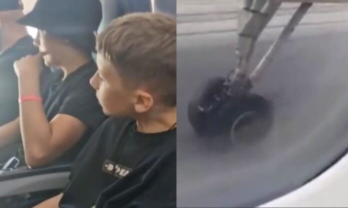 1668947-f1f209bb-tromos-se-ptisi.jpg