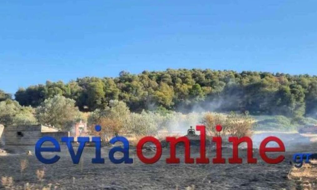 Φωτιά στον δήμο Διρφύων στην Εύβοια – Τραυματίστηκε πυροσβέστης
