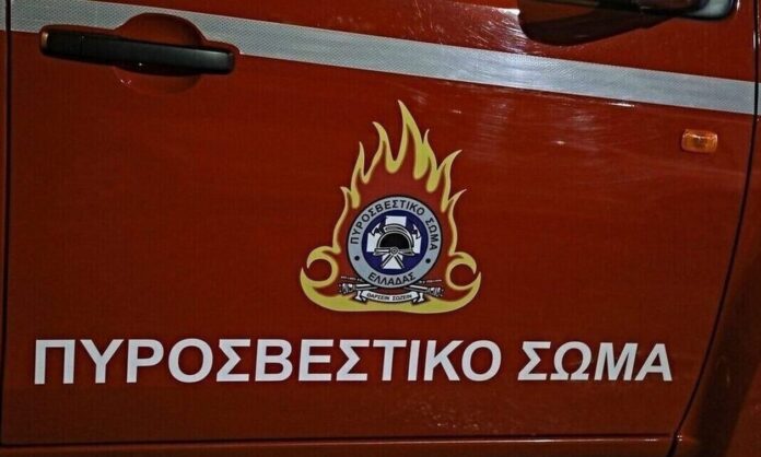 1669419-pirosvestiko-soma.jpg