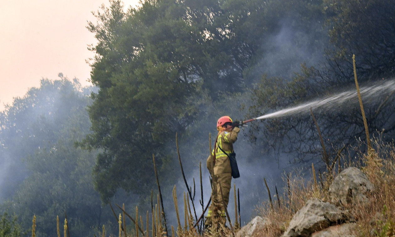 Φωτιά στα Βίλια Αττικής – Στη μάχη και εναέρια μέσα