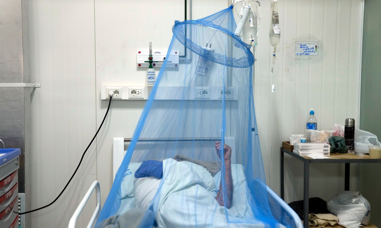 Κίνα: Νέος συναγερμός για τον ιό chikungunya – Αυξάνεται η επιδημία που μεταδίδεται από τα κουνούπια