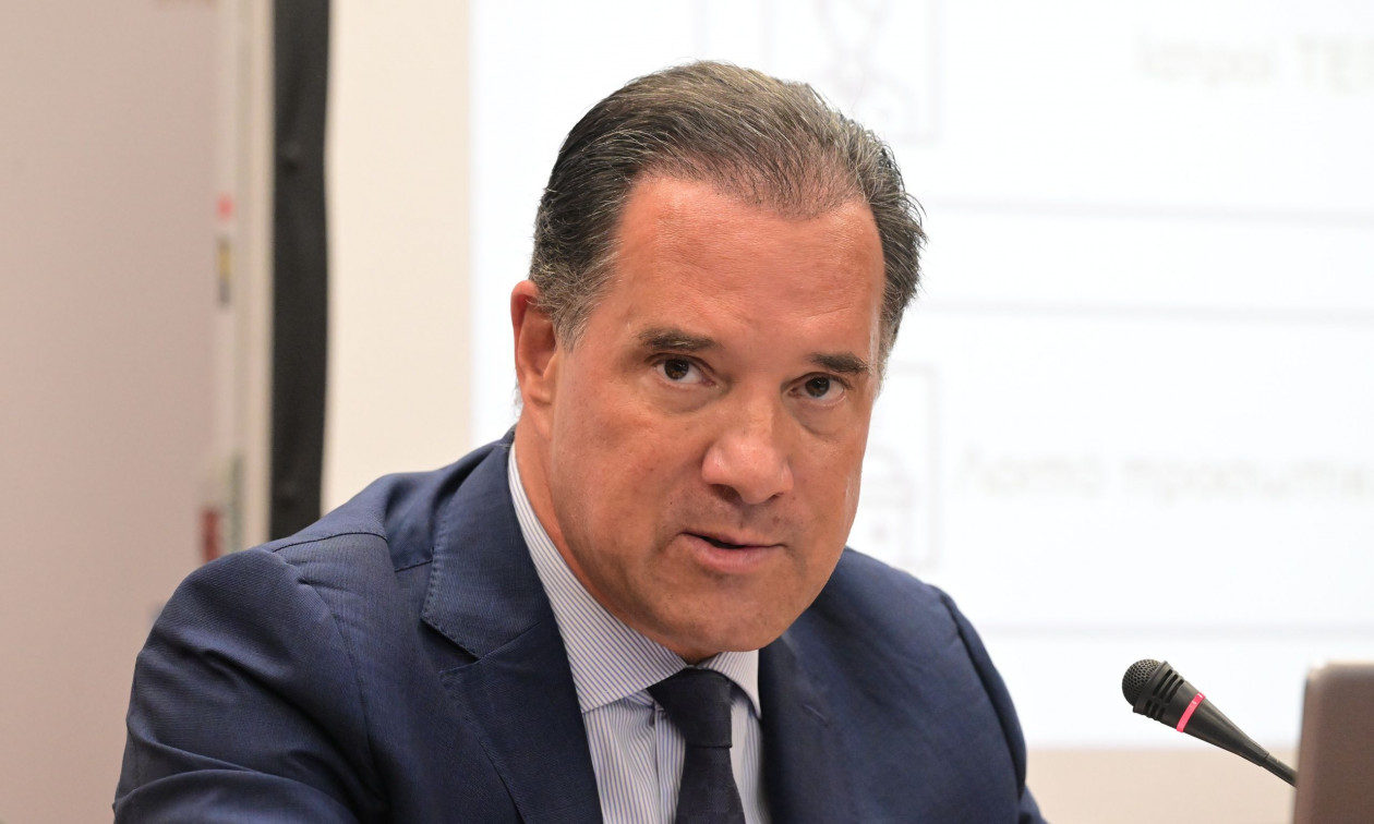 Άδωνις Γεωργιάδης για θάνατο Λένας Σαμαρά: «Δεν είναι όλα πολιτική, δείξτε επιτέλους λίγο σεβασμό»